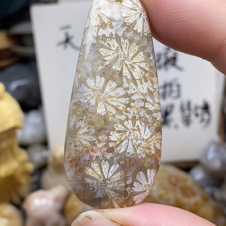 硅化珊瑚（珊瑚玉）未镶嵌颈饰