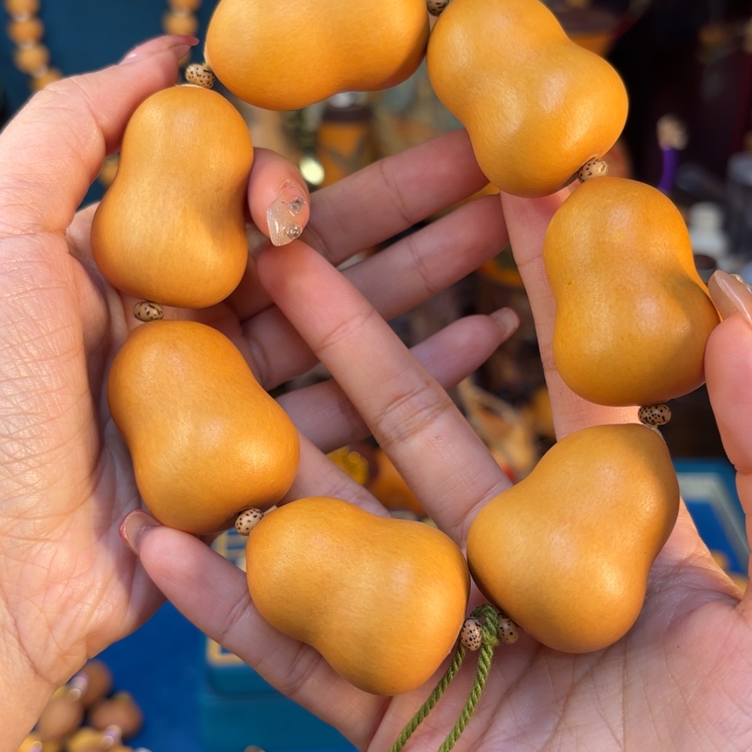 我们的生活也是如此的丰富多彩啊