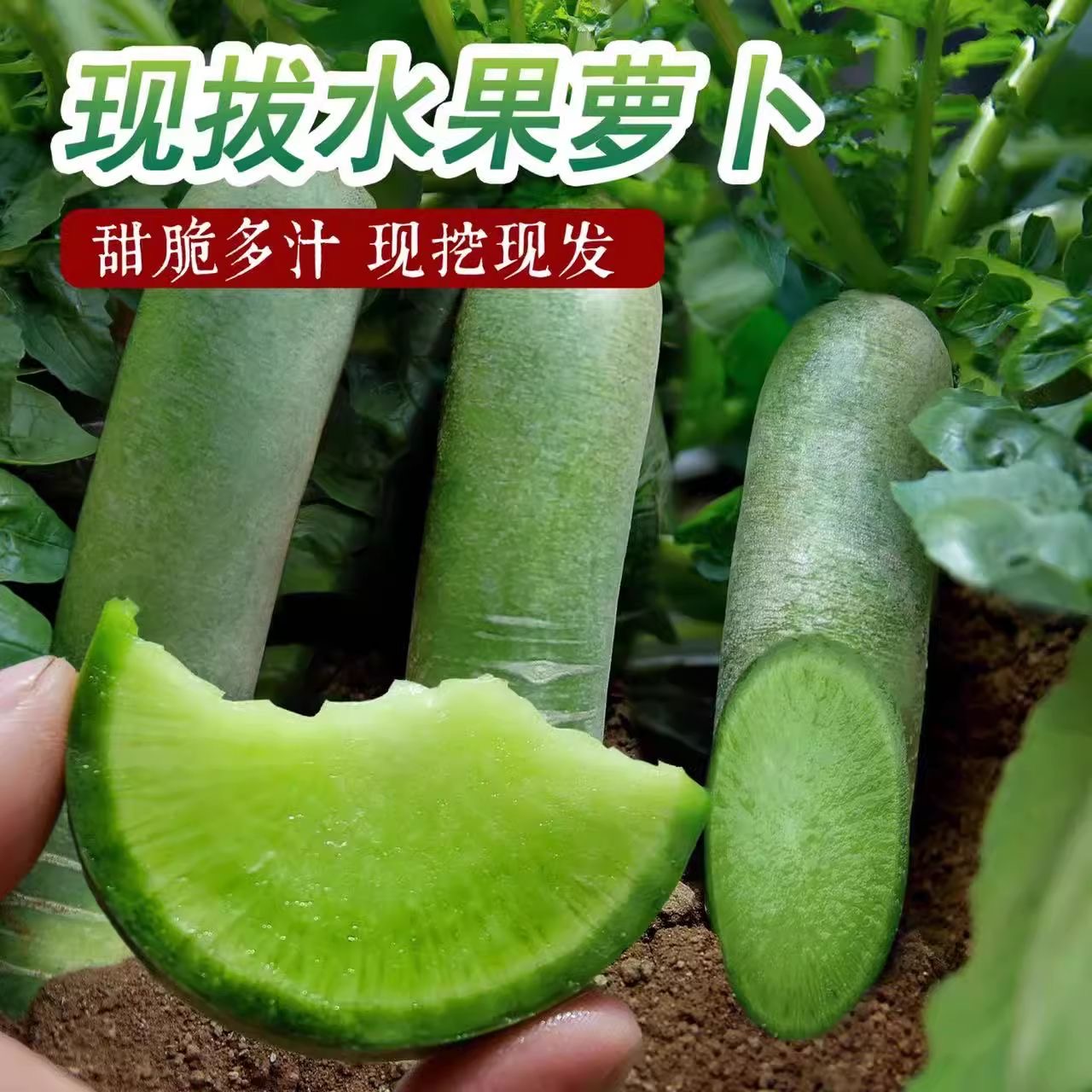 【水果萝卜】冰糖脆绿心自然熟新鲜脆甜青凤梨生吃正宗绿青胡沙窝