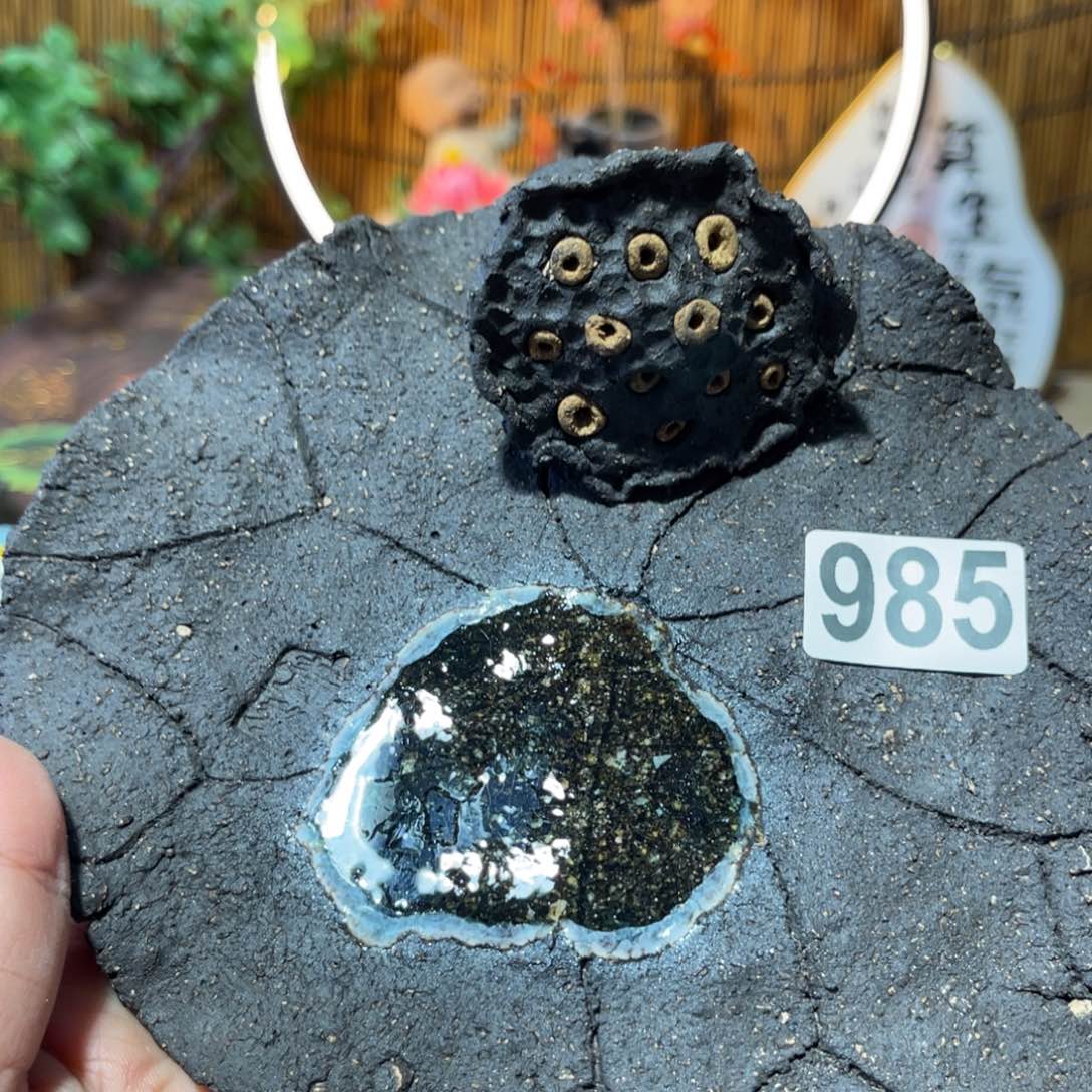 木村信弘柴烧保平