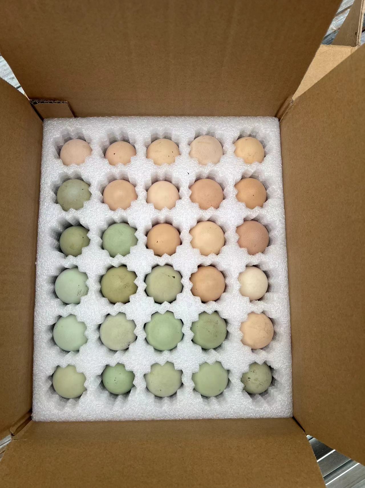 八哥农场土鸡蛋（混合）不可孵初生蛋