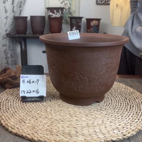 紫砂花盆家****。大金钟牡丹0969