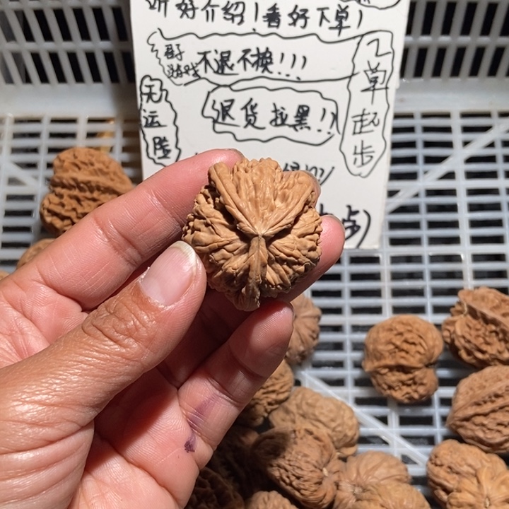 冰***铁核桃白狮子三棱尺寸39