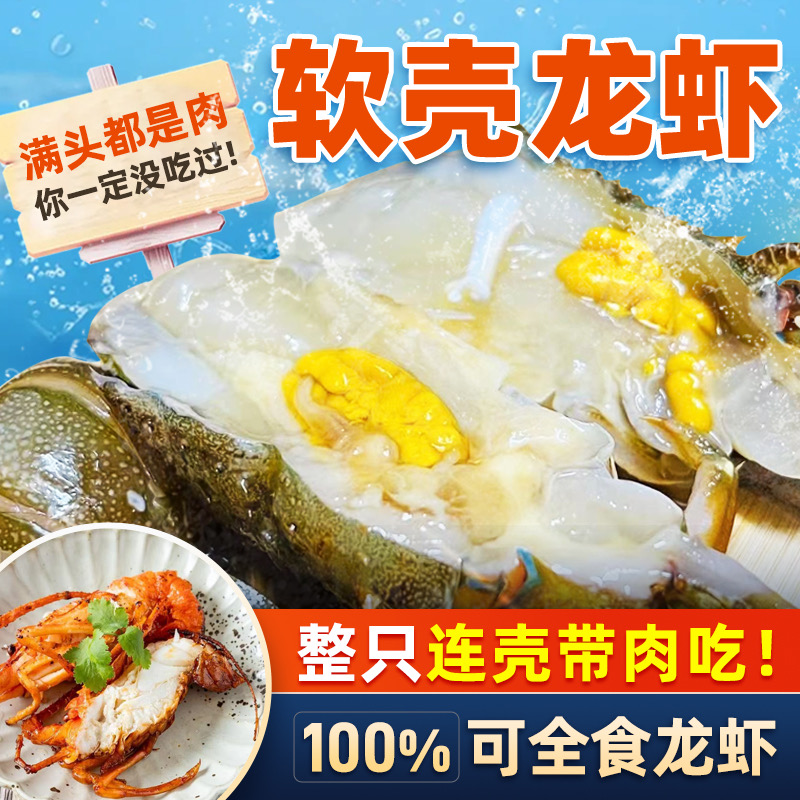 软壳龙虾壳薄肉厚轻松入口海鲜水产澳洲龙虾青龙顺丰冷链直达(L)
