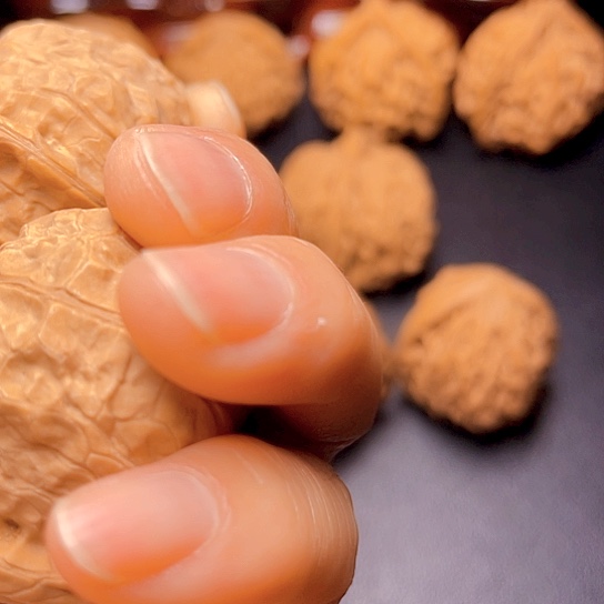 大叶紫檀（黑酸枝木类）@*客