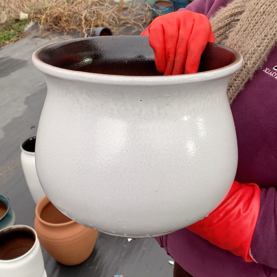 红陶口25高22～～～