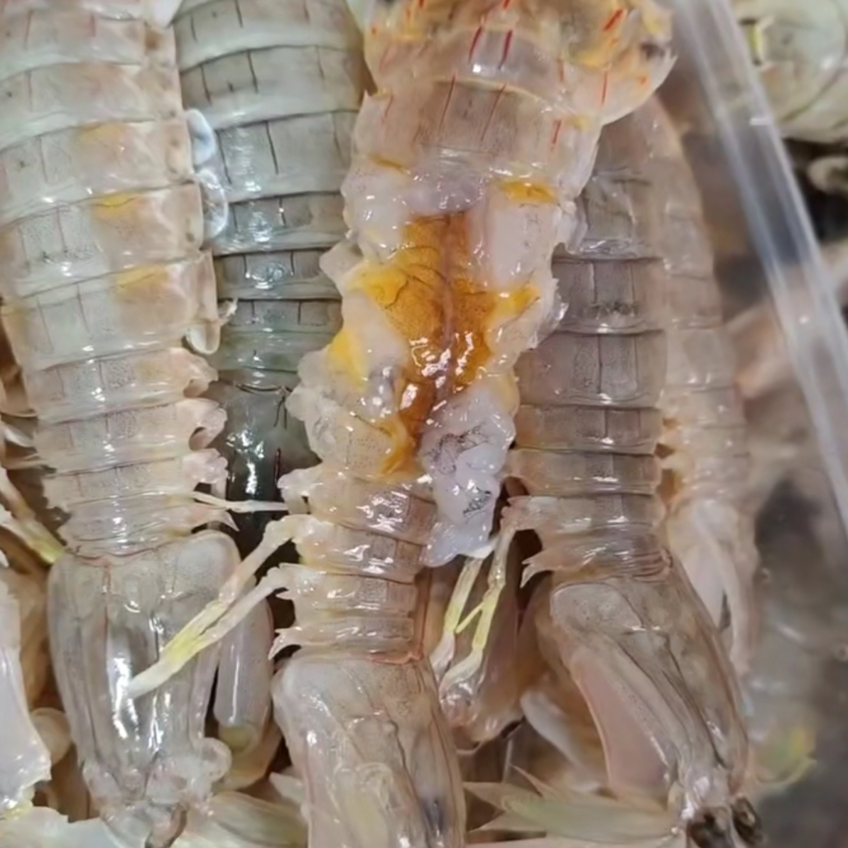 （一夜情）干盐红心虾姑（原味）