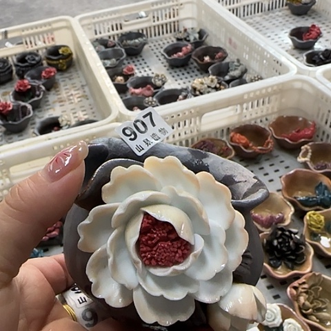 瓷片柴烧柴烧柴烧907