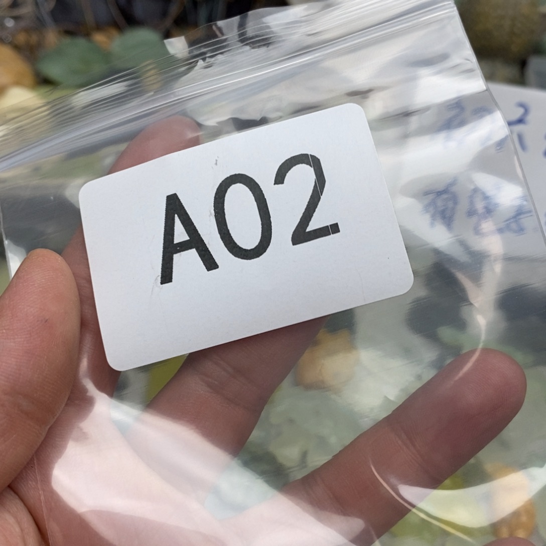岫玉纯天然岫玉挂件戒指未镶嵌