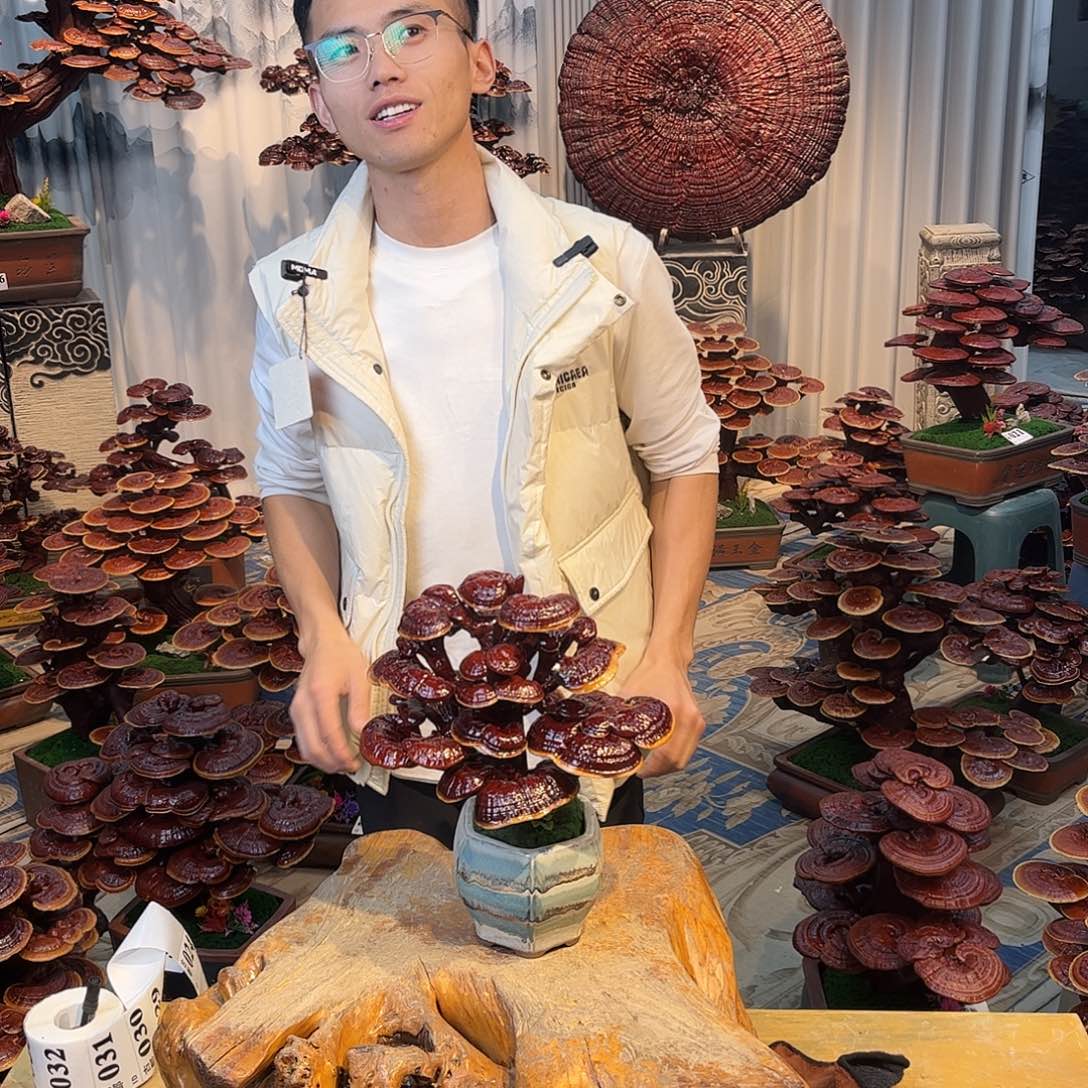 无花朵88888888888