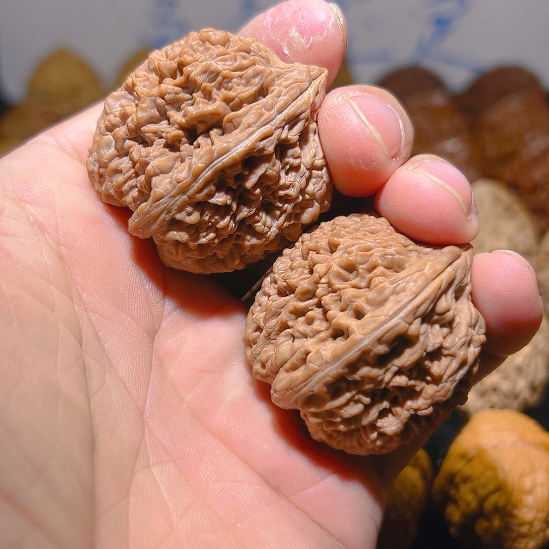 核桃其他冷****g原树大蒜头