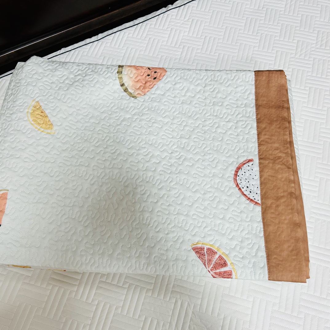 四季通用莱赛尔天丝印花单床盖245*250微瑕～C187