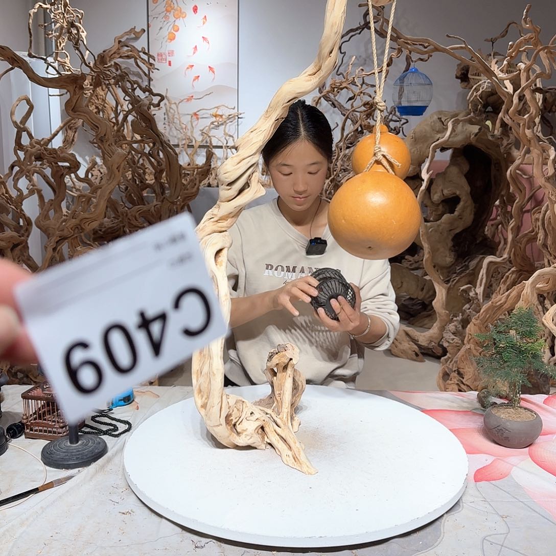 风车木（黑檀木）多**笑