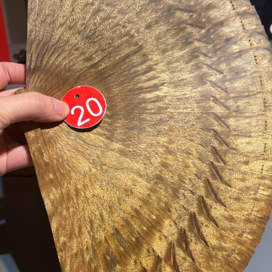 金丝楠金丝楠木金丝楠木小叶桢楠21