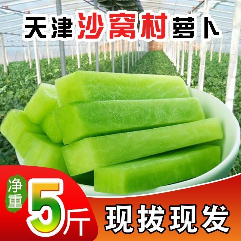 天津沙窝金星水果萝卜非天星新鲜现挖脆甜多汁生吃爽口微辣