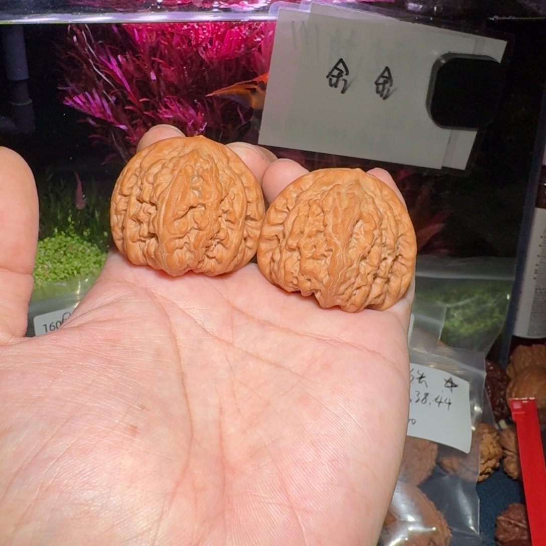 核桃把件098平谷九龙，尺寸42 40 38