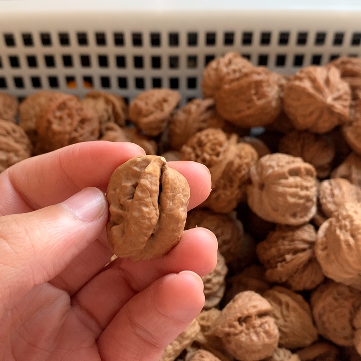 @***室文玩核桃把件瓜子