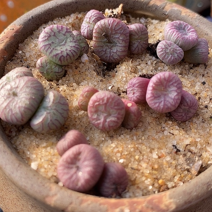 送奶工杂铅笔画一群