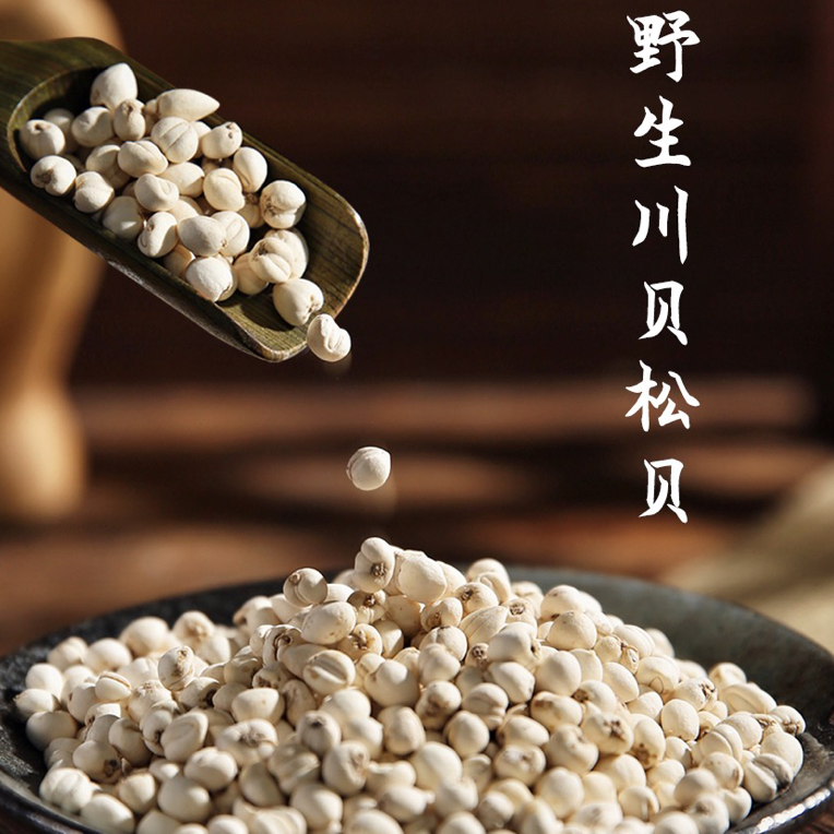 【米贝】珍珠贝怀中抱月小孩吃资格真货精选川贝母2025新货送礼佳品