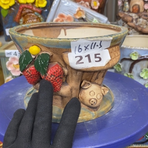 【闪购商品】红陶。