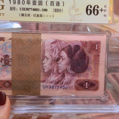 塑料38774001红金龙——————