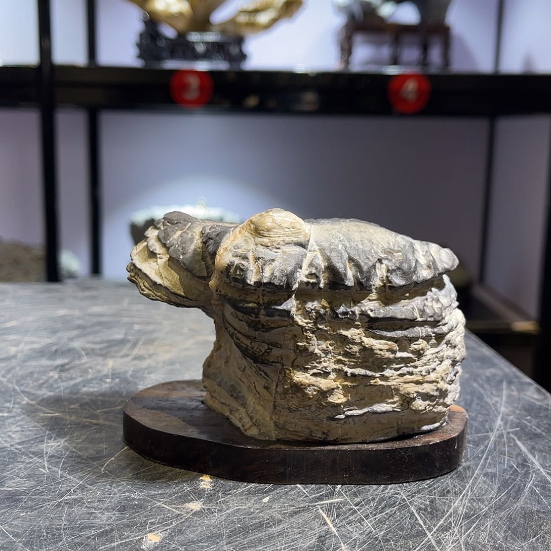 紫砂全场都不包邮好
