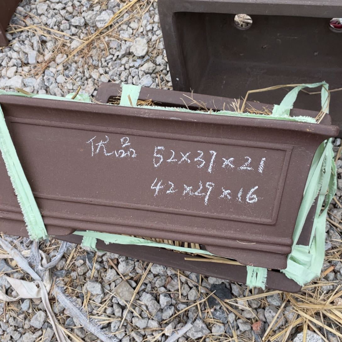 紫砂42cm 优品 一只