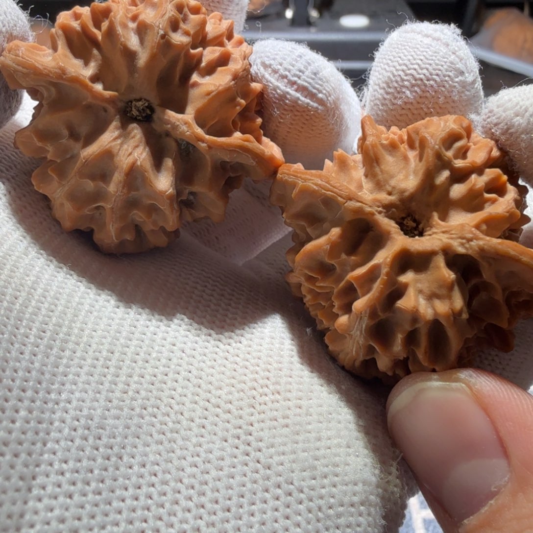 文玩核桃吊坠苹果园