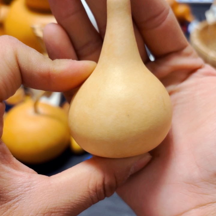 慧*针孔8888888888888888