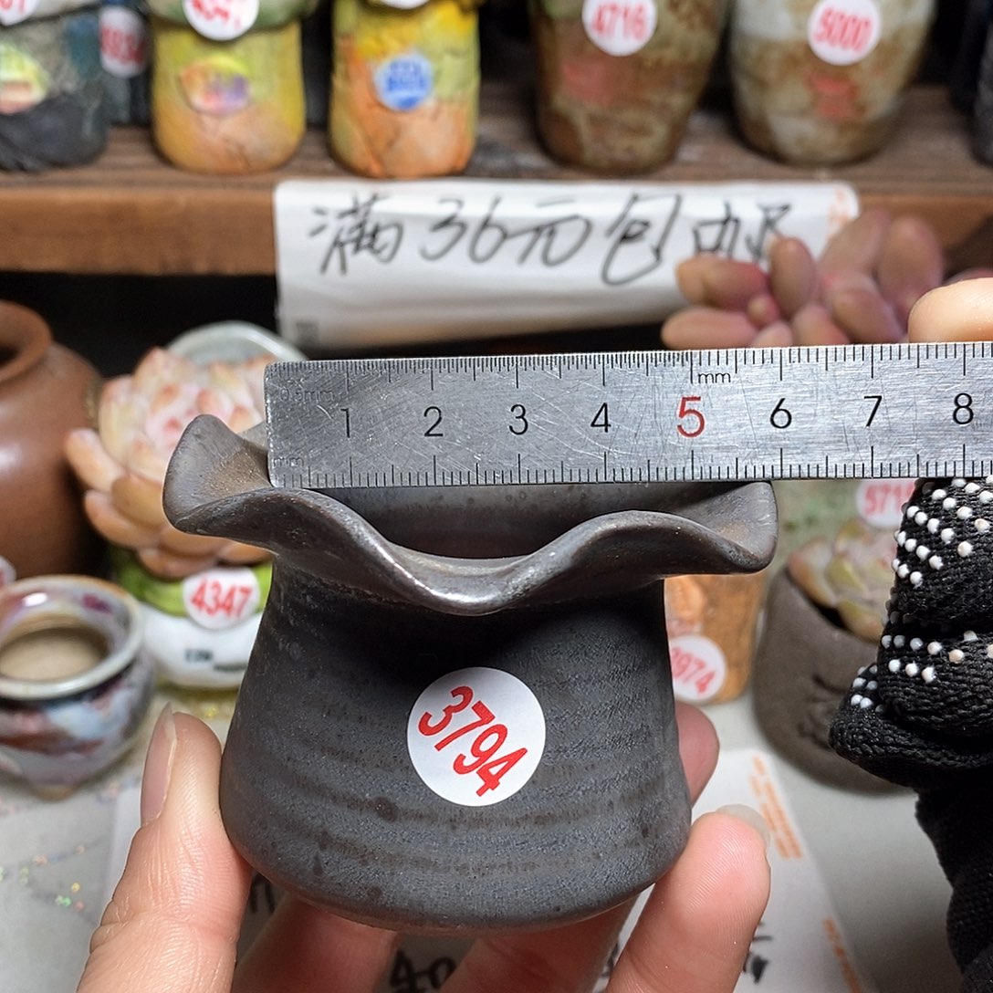 红陶拍5送一个小