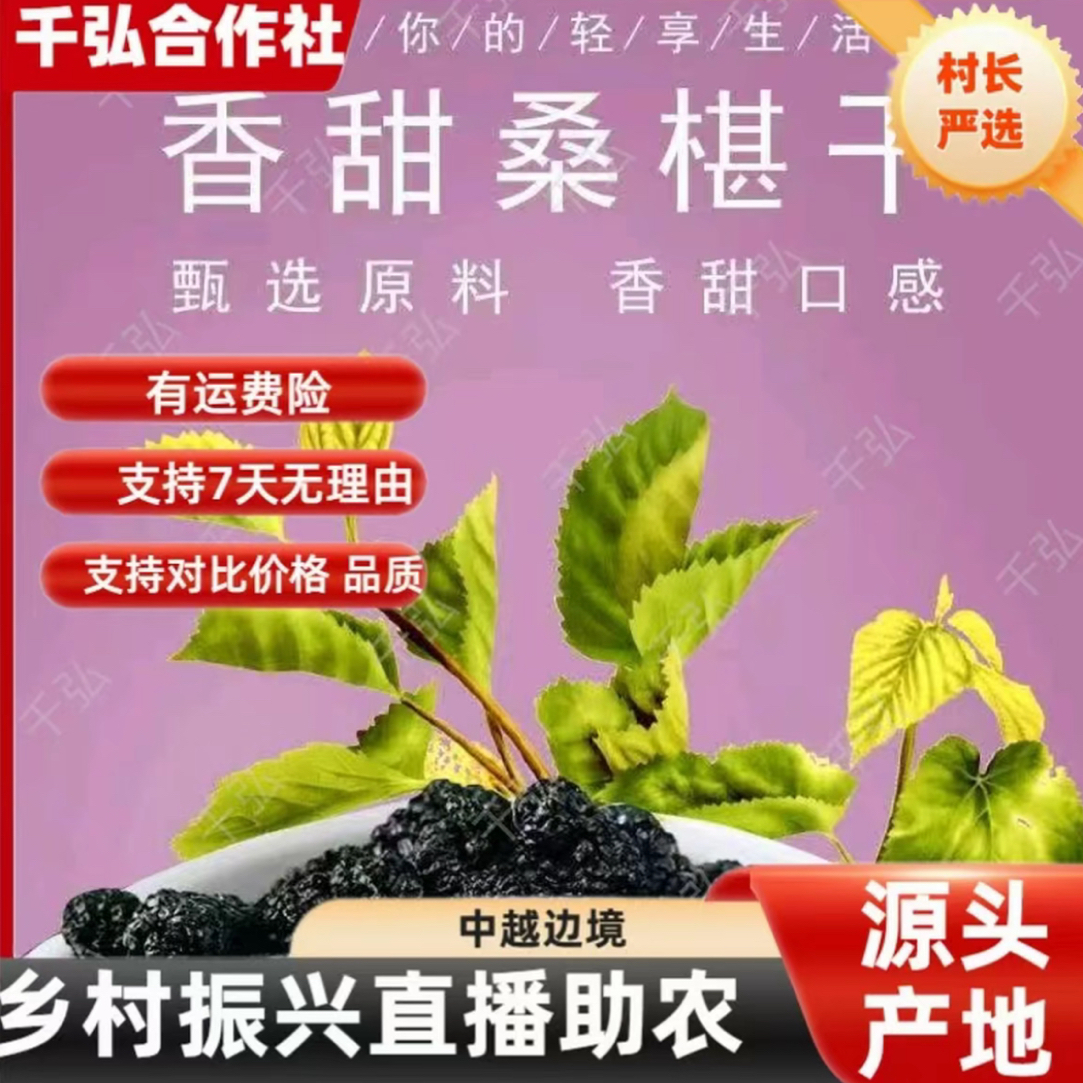 头茬新货黑桑葚干无沙免洗可泡茶当零食