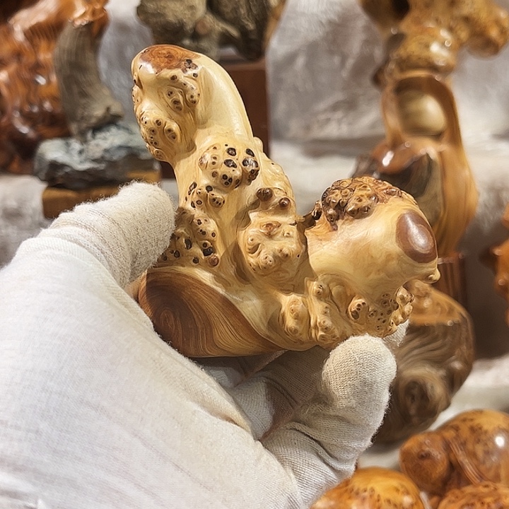 ༺***༻柏木太行崖柏刺瘤随性把件