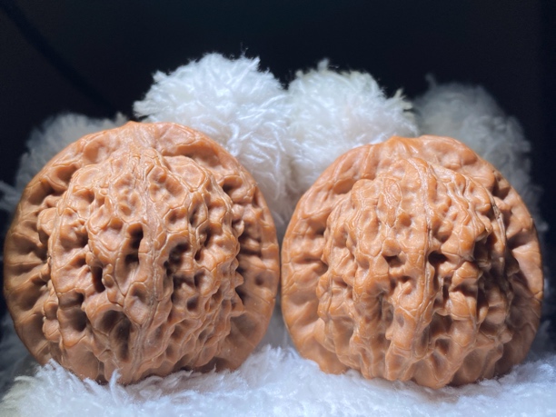 金公子核桃（边40.5肚36高40）尖微修