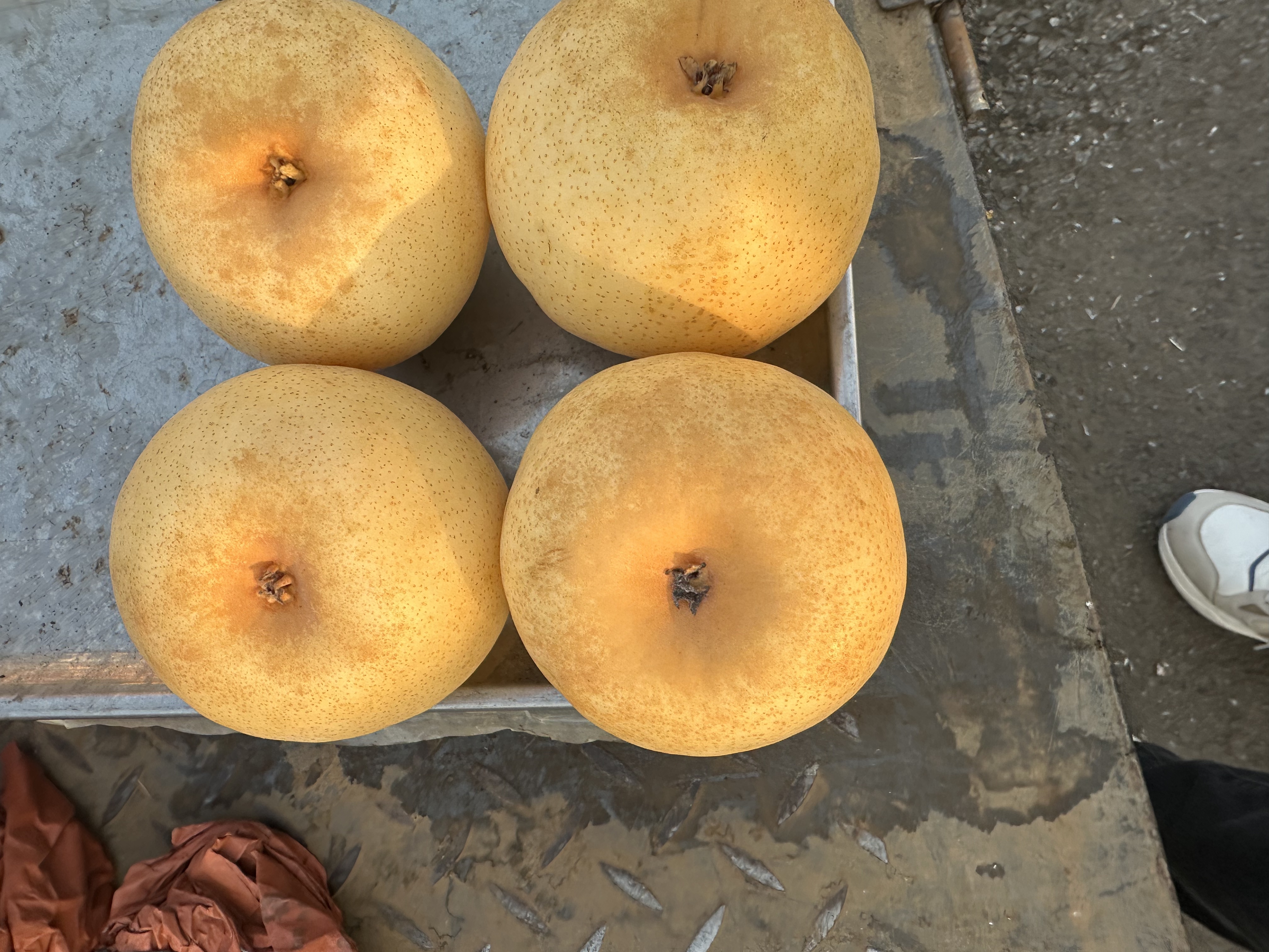 河南特产黄金梨脆甜多汁皮薄当季水果