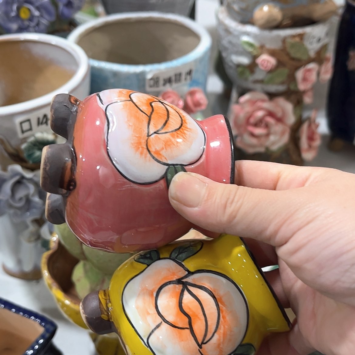 【闪购商品】红陶福利