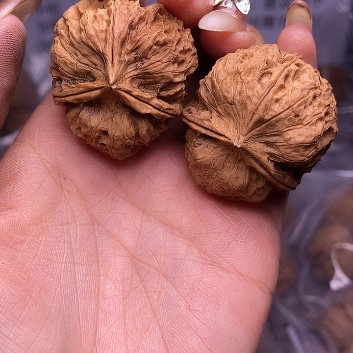 核桃云南野生铁核桃137号37mm