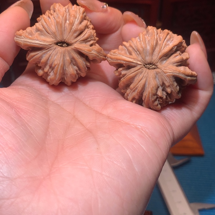 42四座楼新手练手对