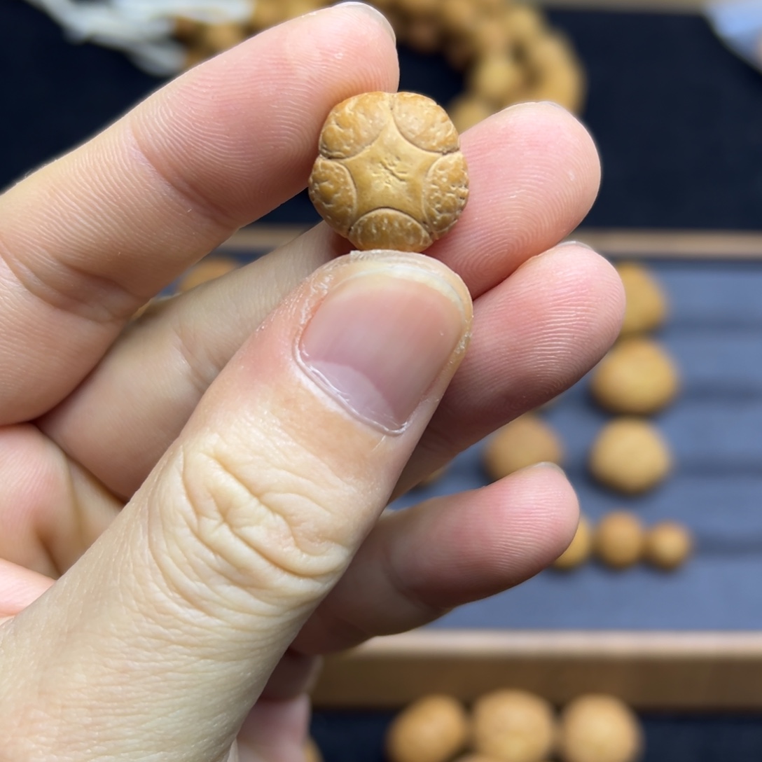吊坠凤眼菩提16+五星上将