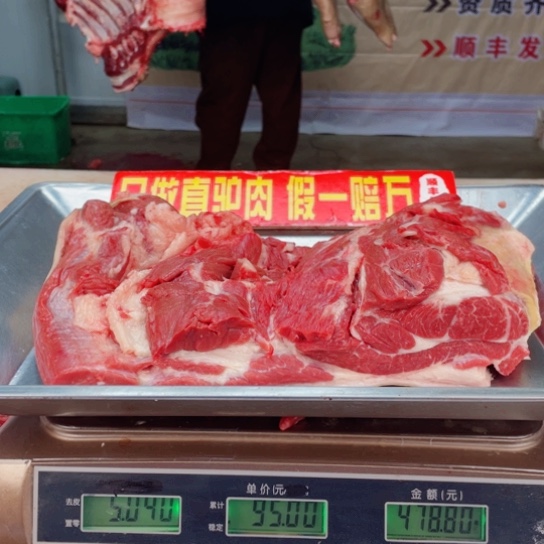 【闪购商品】冷冻保存30天包装河北省