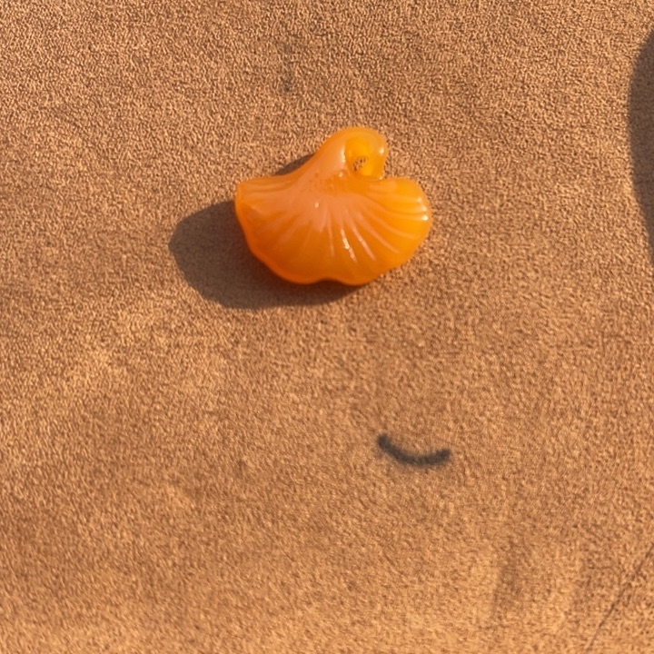 ****栖和田玉未镶嵌颈饰