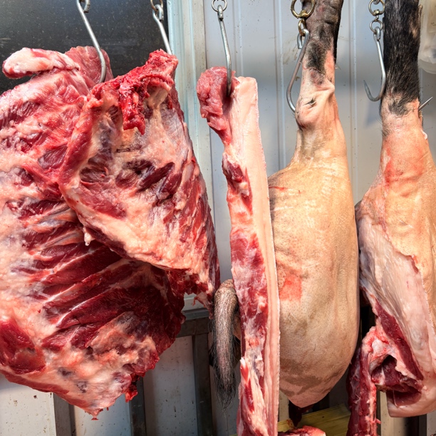 贵州特产新鲜现杀农家散养笨猪黑毛猪