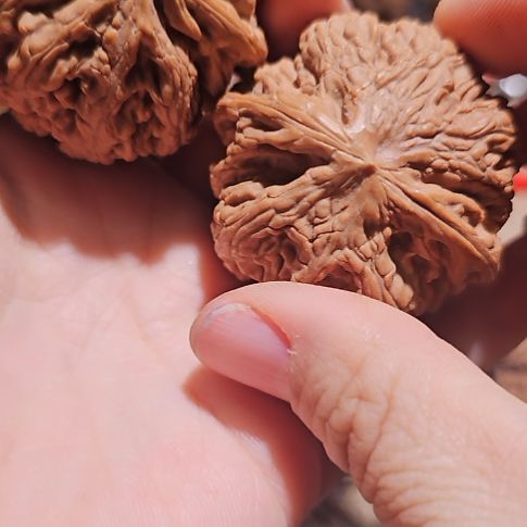 晴***天文玩核桃吊坠46粗筋