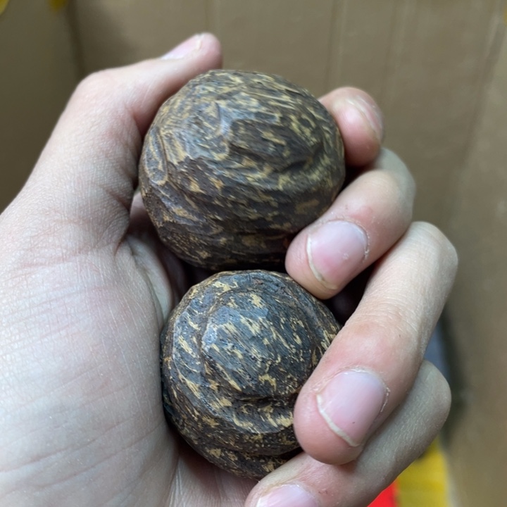 贝壳摆件烽云恩专属精选链接