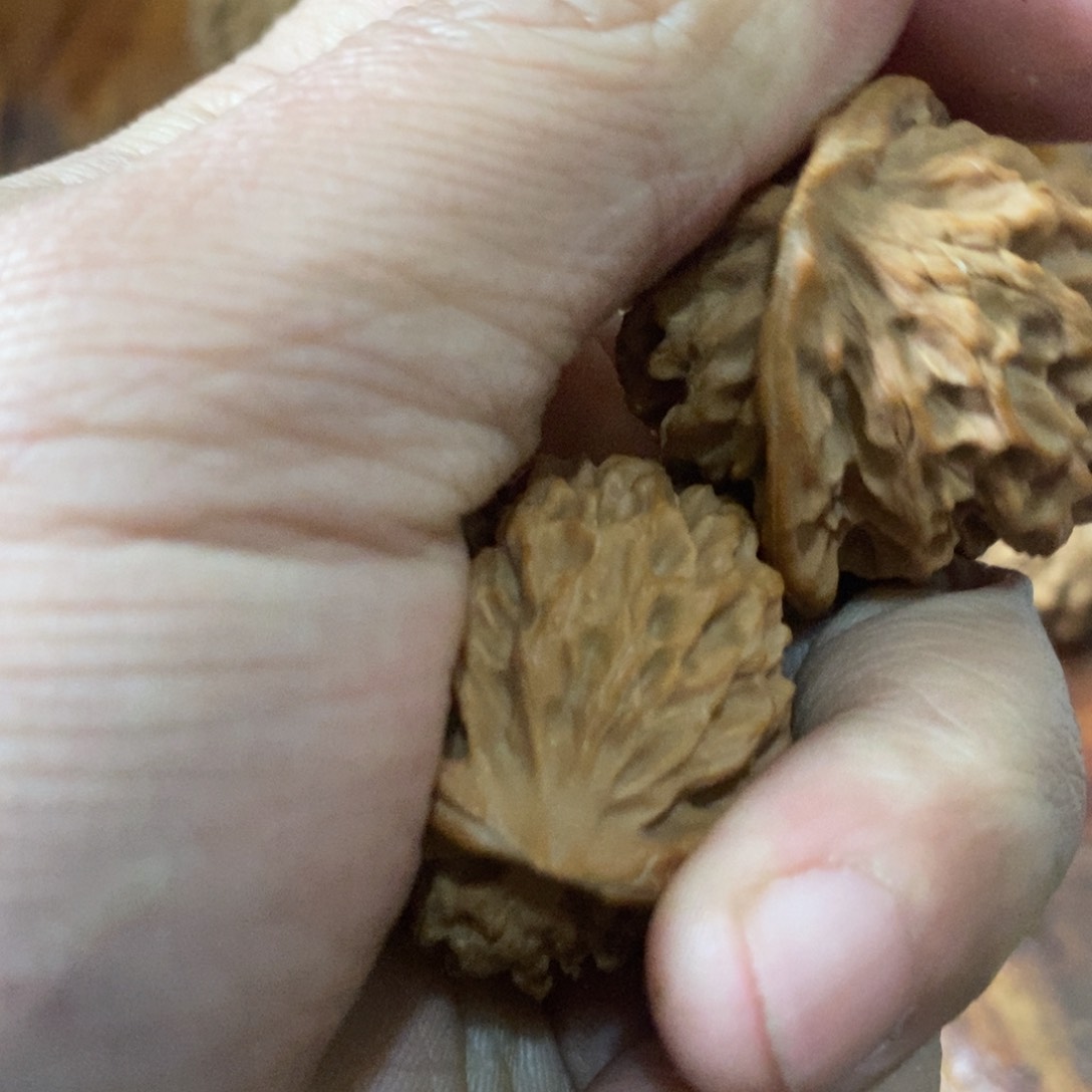 s****按秦岭南北区有什么地方