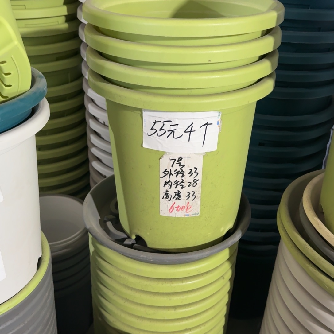 四季7#口径33无拖果绿6个