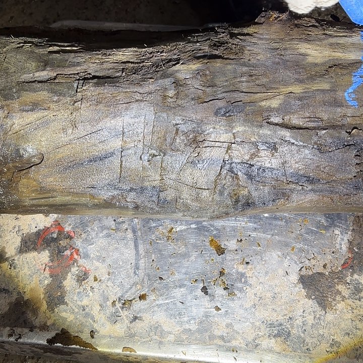 陳***J金丝楠啊啊啊啊啊啊啊