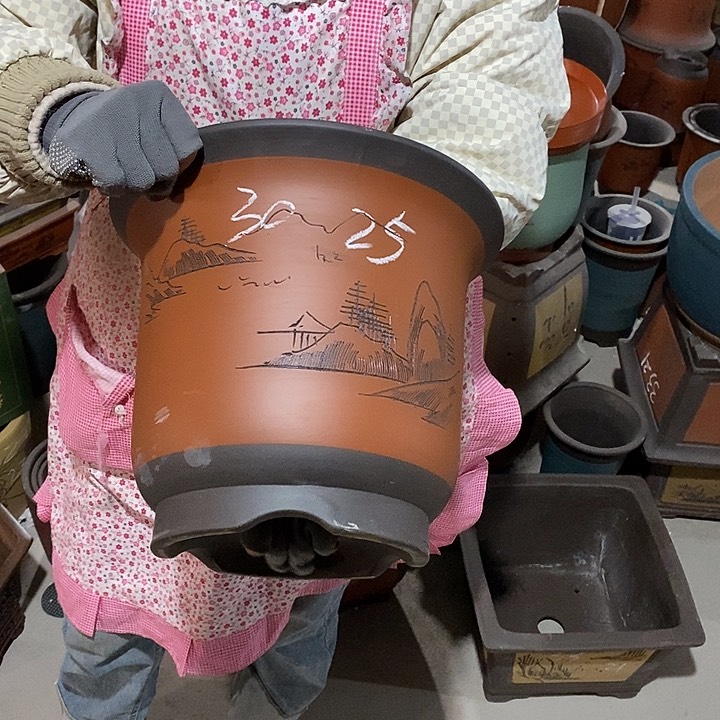 紫砂花盆紫砂花盆