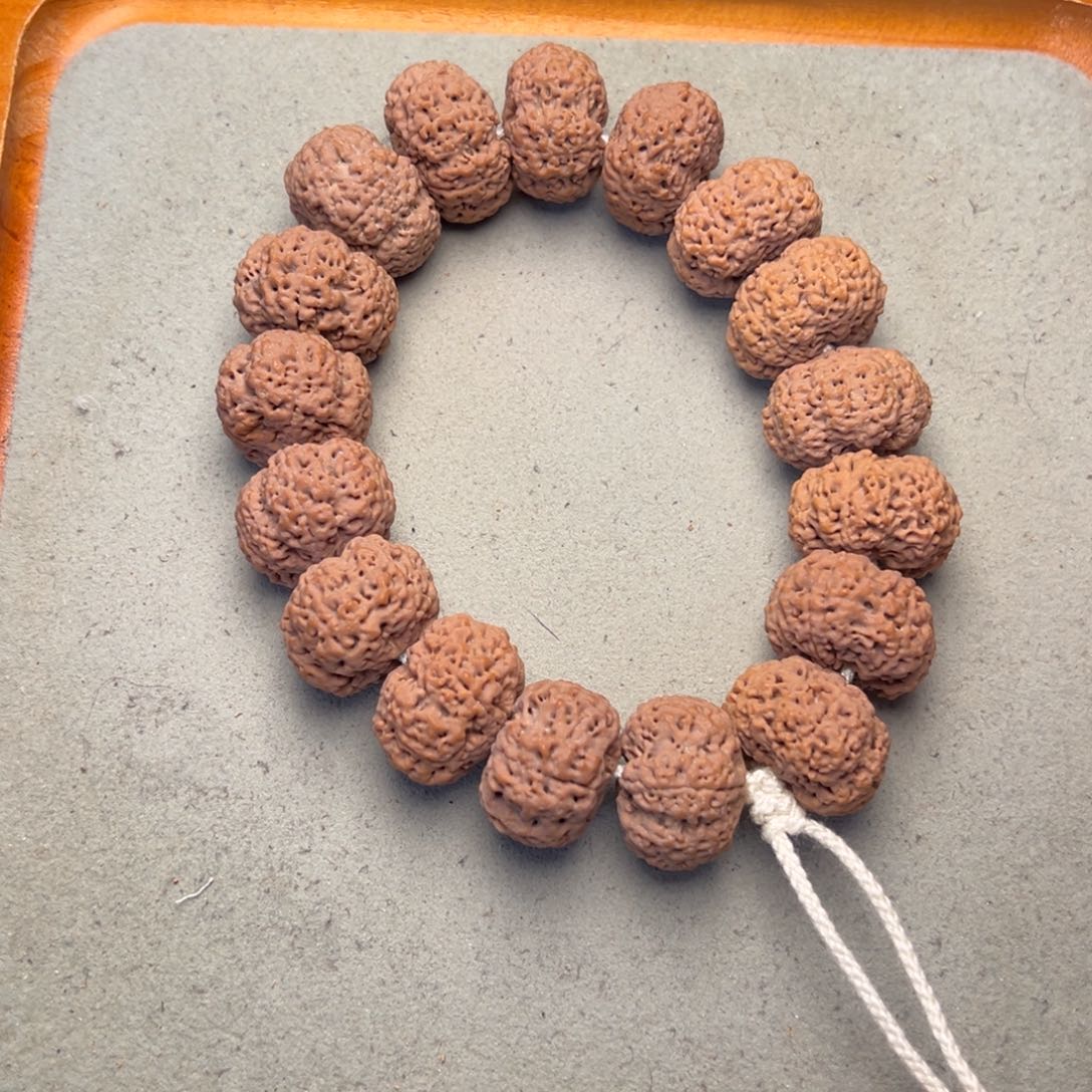 9号金刚菩提菠萝蜜夹板24