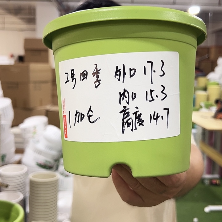 特价2号口17高15果绿色10只无托