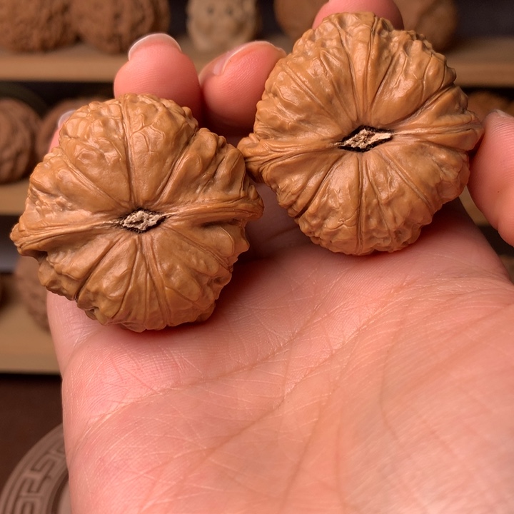 深***弹南瓜11块豆腐脑干